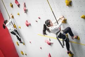 《行荒之路》8.17更新：便携箱异常问题，官方紧急修复进行中