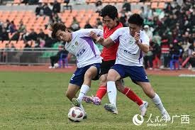 解析多伦多蓝鸟队的全国性支持